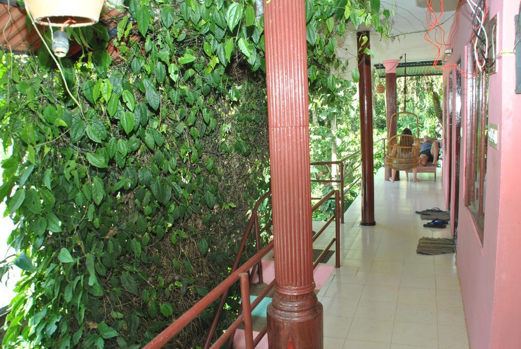 טקאדי Jungleparadiso Homestay מראה חיצוני תמונה