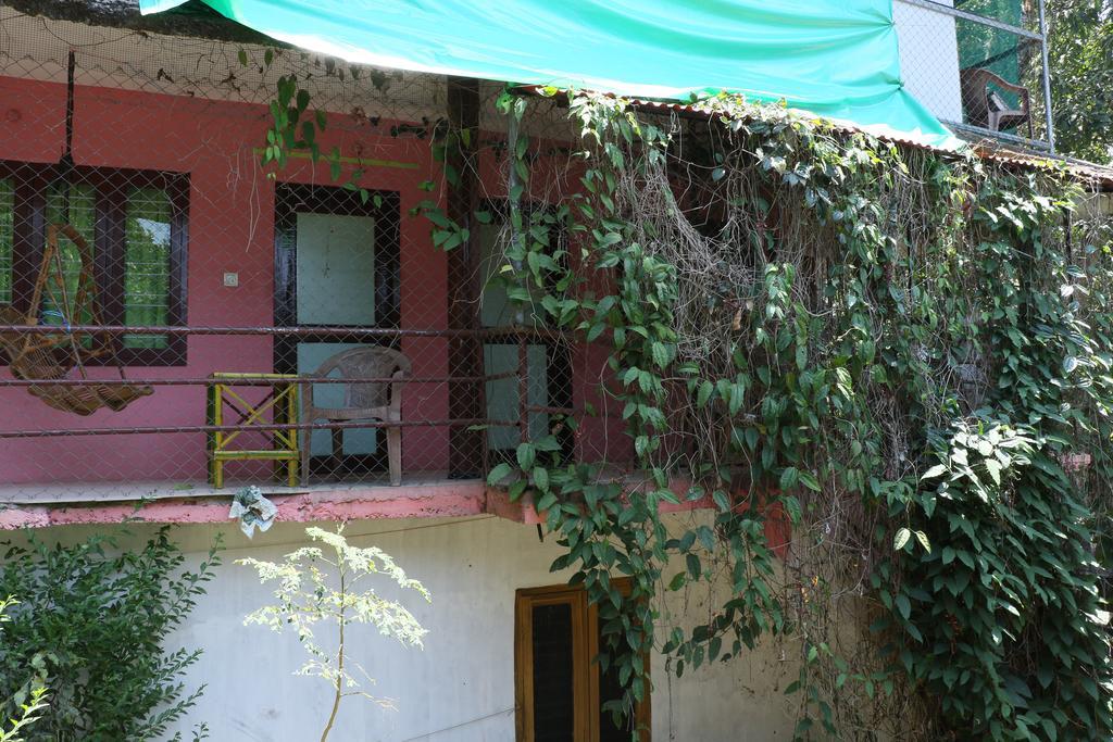 טקאדי Jungleparadiso Homestay מראה חיצוני תמונה