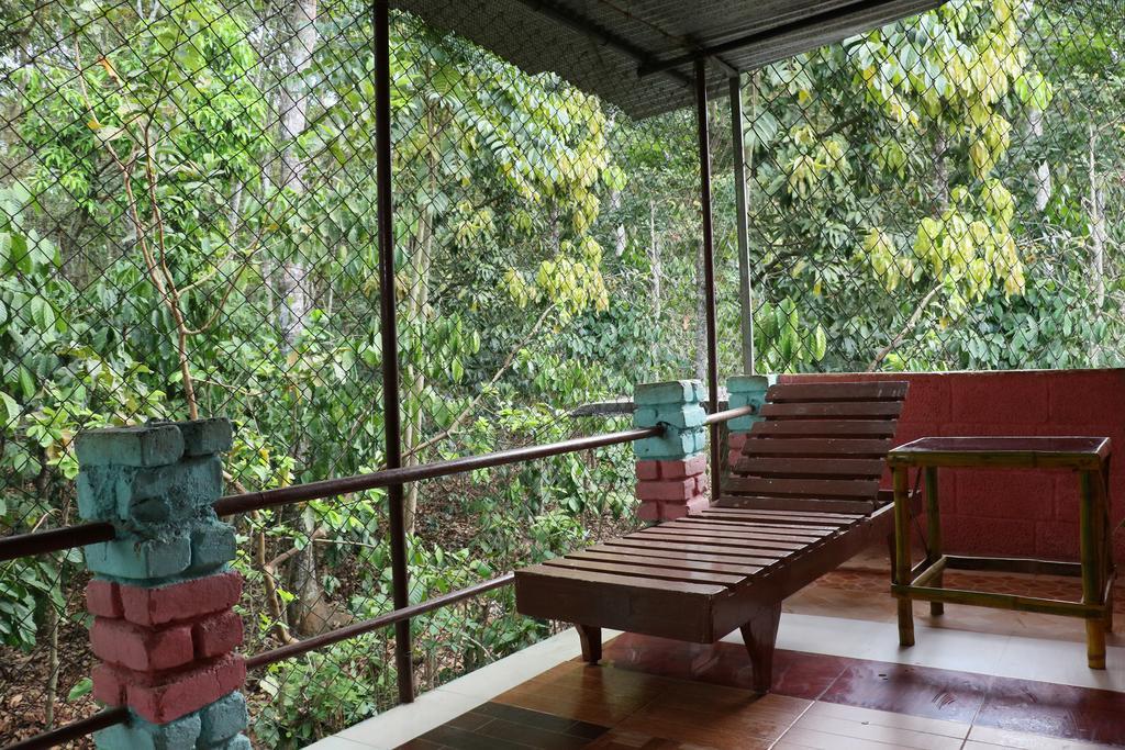 טקאדי Jungleparadiso Homestay מראה חיצוני תמונה