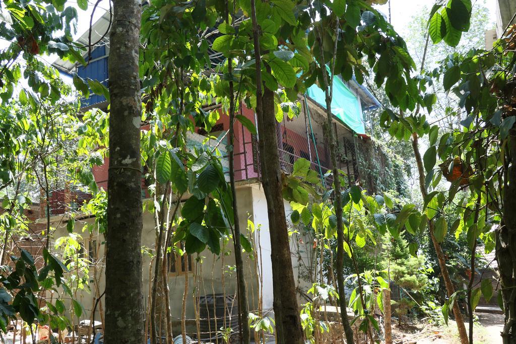 טקאדי Jungleparadiso Homestay מראה חיצוני תמונה