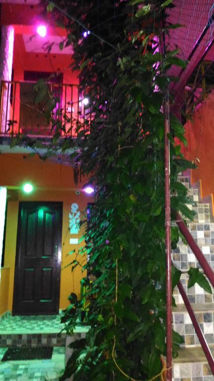 טקאדי Jungleparadiso Homestay מראה חיצוני תמונה